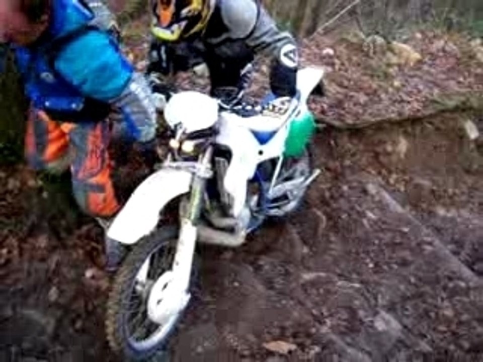 escalier dans les bois!!!