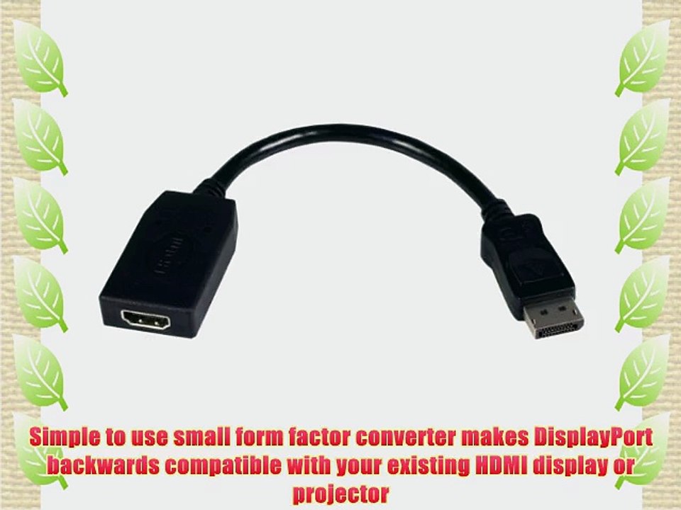Startech DP2HDMI DisplayPort to HDMI Video Adapter Converter