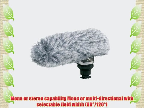 Canon 2591B002 DM-100 Directional Stereo Microphone for HF/HG Series Camcorders