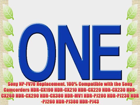 Vivitar NP-FV100 Ultra High Capacity 4200mAh Li-ion Battery for SONY Camcorders HDR-CX190 HDR-CX210