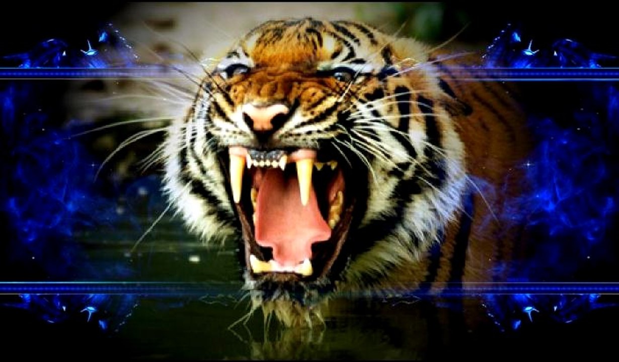 "Imminent Danger" (Robbie-j-Cool's Beats & Instrumentals)