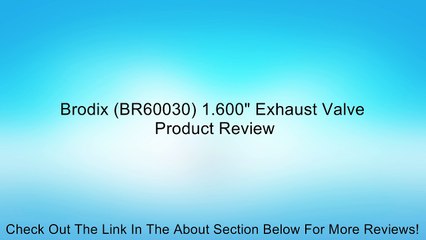 Brodix (BR60030) 1.600" Exhaust Valve Review