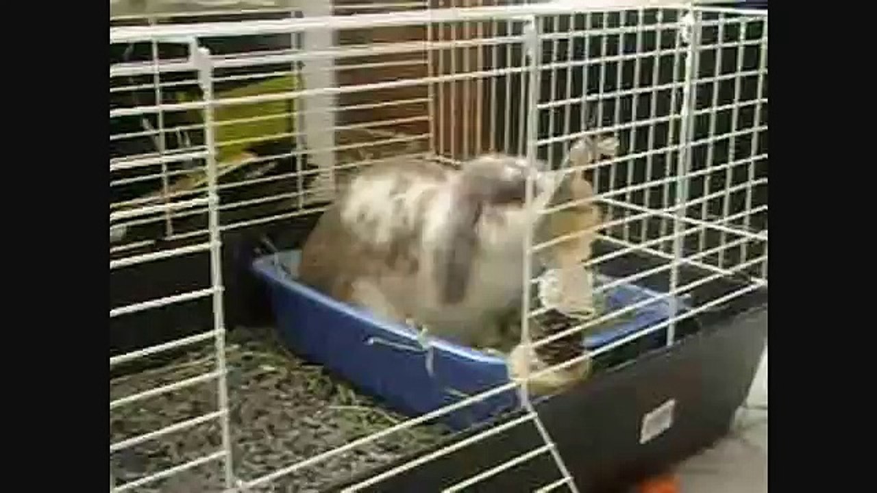 THE MOST FEARSOME BIBLICAL BEASTS IN THE UNIVERSE