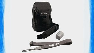 Sony ACCFP71 Accessory Kit for DCR-HC26 36 46 DVD 205 305 405 505