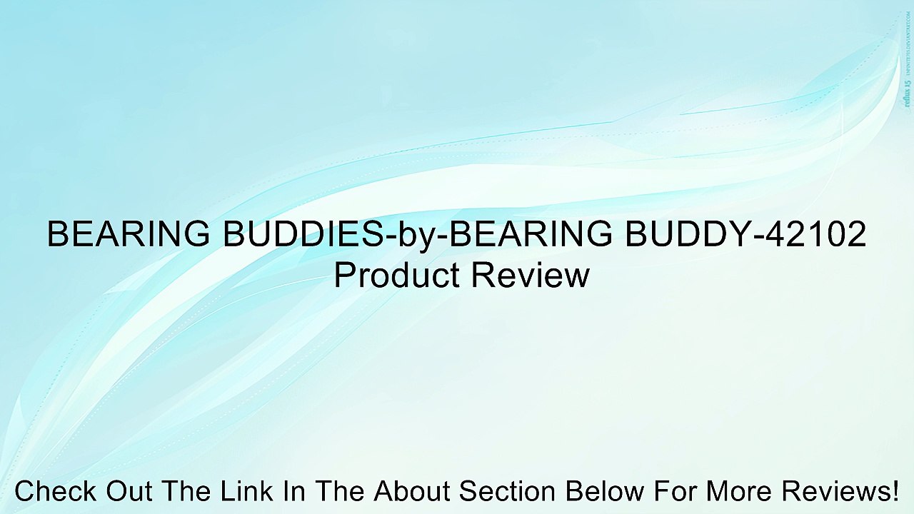BEARING BUDDIES-by-BEARING BUDDY-42102 Review