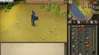 Buy Sell Accounts -  selling my runescape account (2)