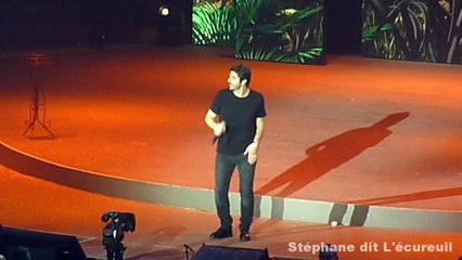 Video herunterladen: Patrick Fiori live aux Enfoirés 2015 à Montpellier