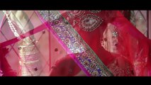 Amazing Cinematic Indian Wedding Highlights 2014