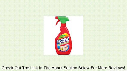 Reckitt Benckiser 1920079838 22-oz. Multi-Fabric Cleaner Review