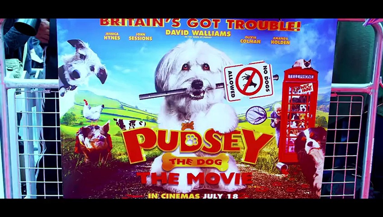 Diversity, Susan Boyle and Paul Potts Took a Chance   Britain's Got Talent 2015