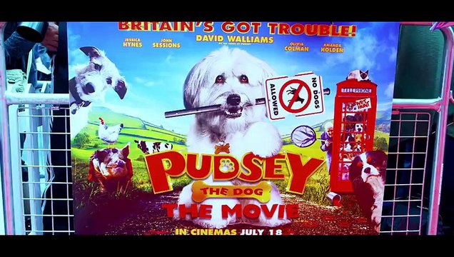 Diversity, Susan Boyle and Paul Potts Took a Chance Britain's Got Talent 2015