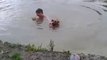 Cute dog thinks his owner is about to drown : Hero dog