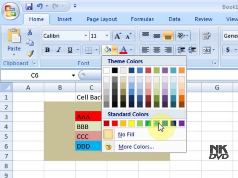 Lesson # 9 The Cell Background or Text Color