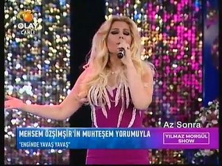 Mehsem Özşimşir - Rüya Gibi Uçan Yıllar