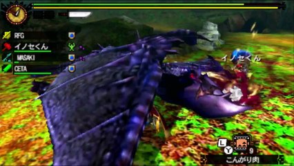 Monster Hunter 4 Ultimate  First time fighting the Level 140 Yian Garuga