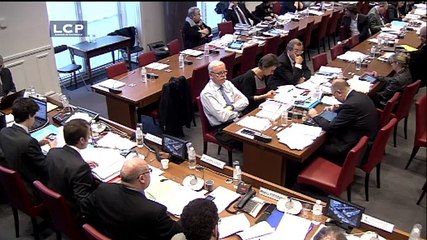 Loi Macron : échanges tendus en commission entre Cécile Duflot et le ministre de l’Economie