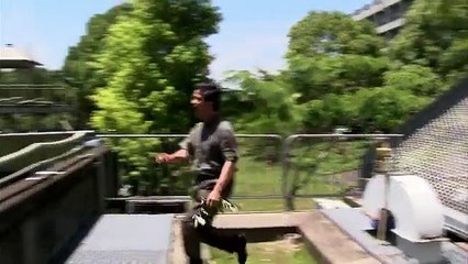 Scientist Speaks Chimp - Extraordinary Animals - Earth