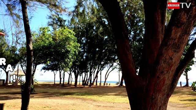 Les mots en créole réunionnais - Georges Soubou