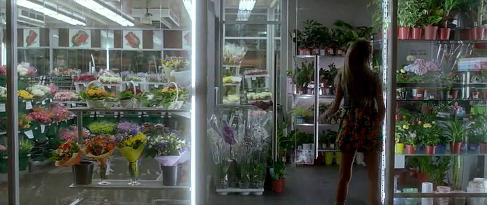 Кибер 2015 фан сайт