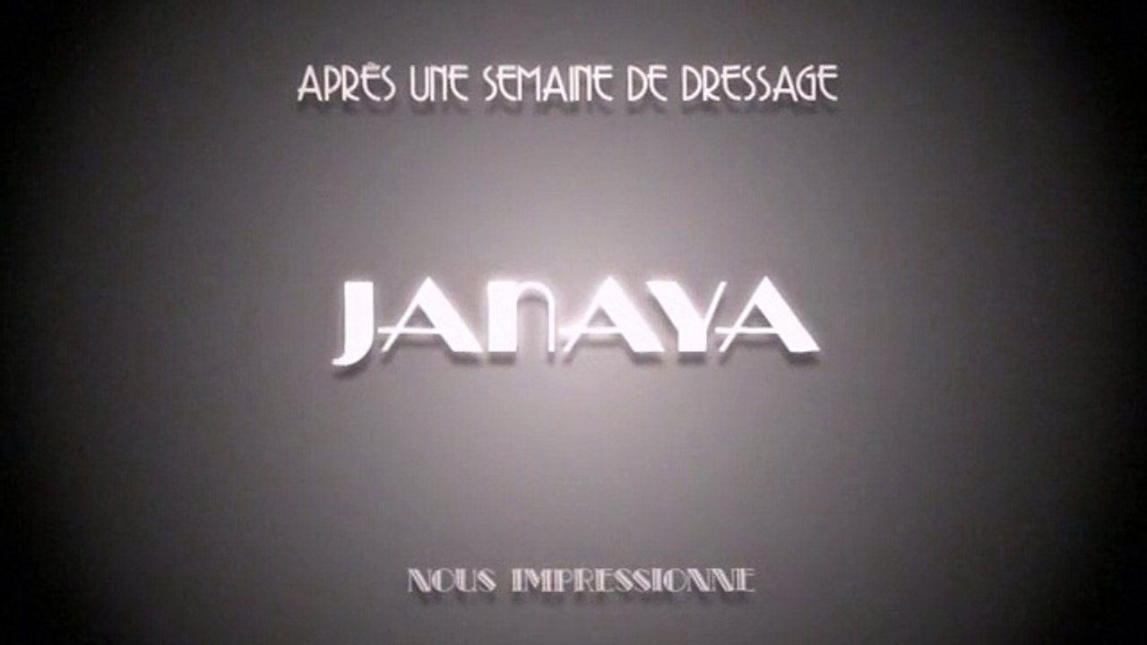 Janaya après 1 semaine de dressage / EDUCATEUR CANIN / VAR ET BOUCHES DU RHONE