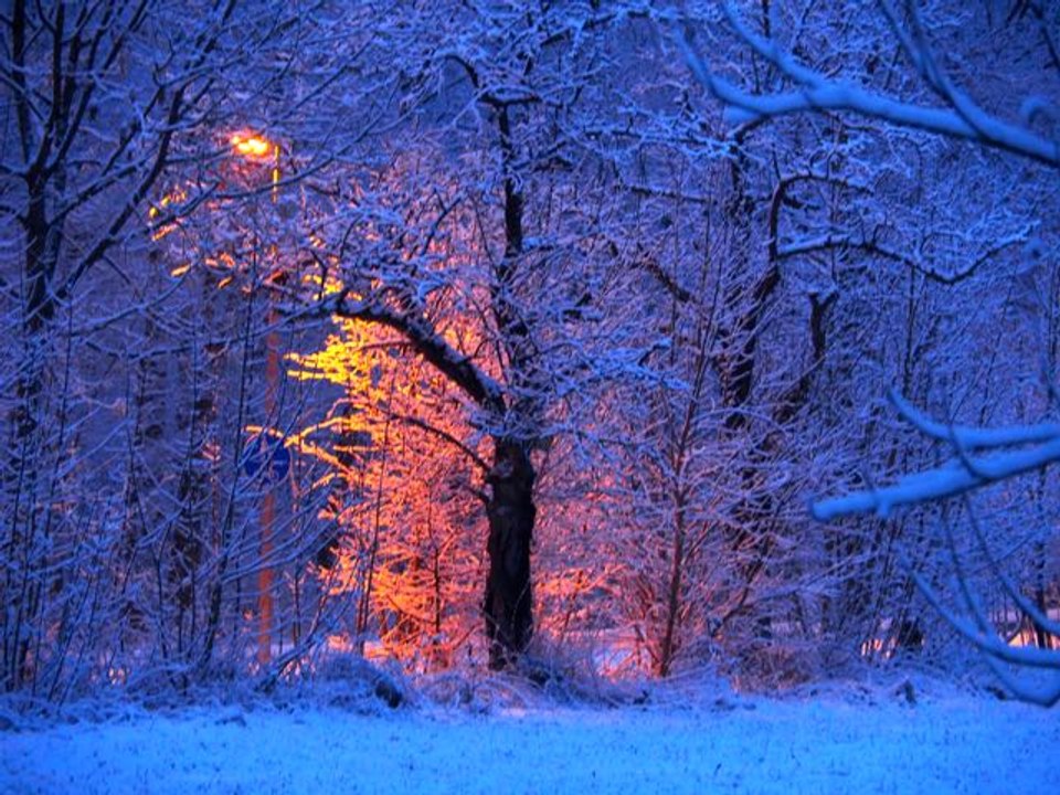 Quiet Snow