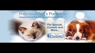 Precious Pets Paradise : Airline Approved Cat Carrier