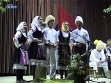 Susreti sela 2014 - Krivelj, 17. avgust 2014. (RTV Bor)