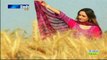 Kash Muhnje Taqdeer Hujein By Balak Sindhi -Sindh Tv-Sindhi Song