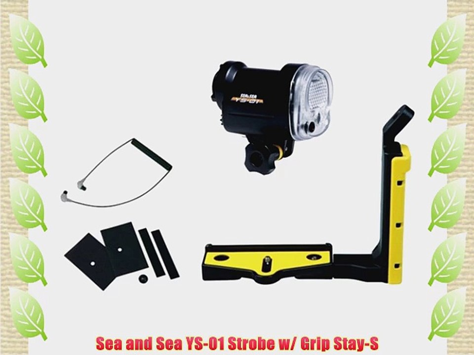 Sea and Sea YS-01 Strobe w/ Grip Stay-S