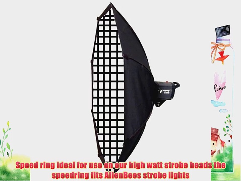 CowboyStudio 60-Inch Octagon Grid Softbox for Alien Bees (60 INCH OCTA GRID-AB)