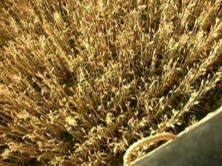 Vol mongolfiere 1 juillet 2006