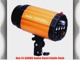 GODOX Pro Photography Studio Monolight Strobe Photo Flash SpeedLight 300WS Light