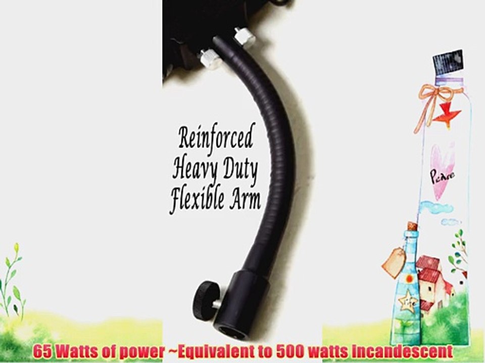 MyRingLight - Fluorescent Ring Light 5400K 65watts Photo and Video