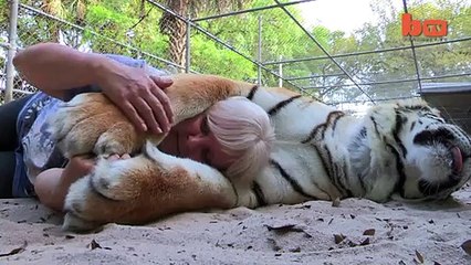 Beautiful girl playing with tiger