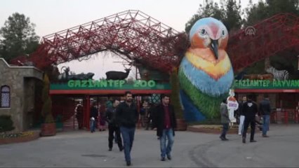 Hayvanat Bahçesi 3 Milyon Ziyaretçiyi Hedefliyor