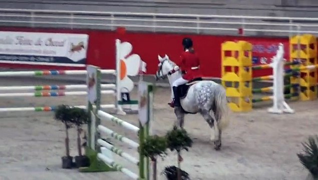 Texas Flowers Square - Bérénice Le Conte - TDA de Saint Lo 24 janvier 2015 - ASP2