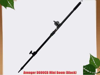 Avenger D600CB Mini Boom (Black)