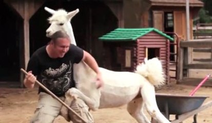 Hayvan Çiftliğini Temizlemek İsteyen Adamın Başına Gelmeyen Kalmadı