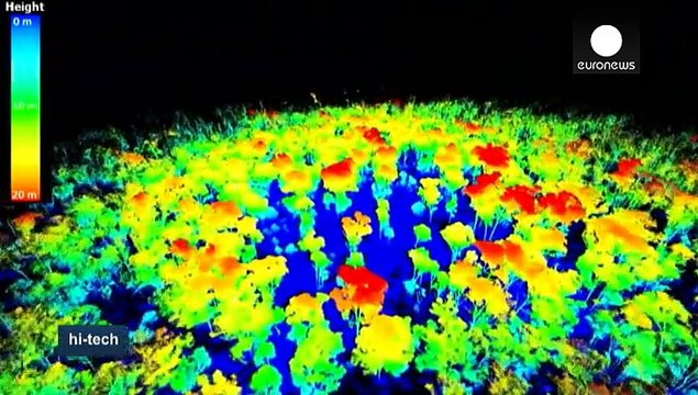 Mapas 3D para medir el dióxido de carbono almacenado en los árboles