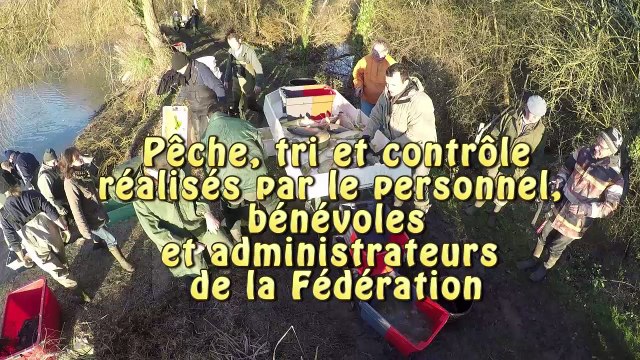 Des carpes pour le carpodrome au Complexe Halieutique les Etangs Neufs de Neuillay-les-Bois