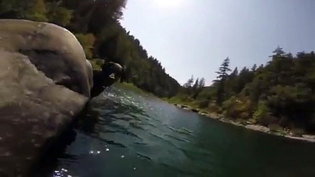 My dog diving 12ft under water [Official Video]