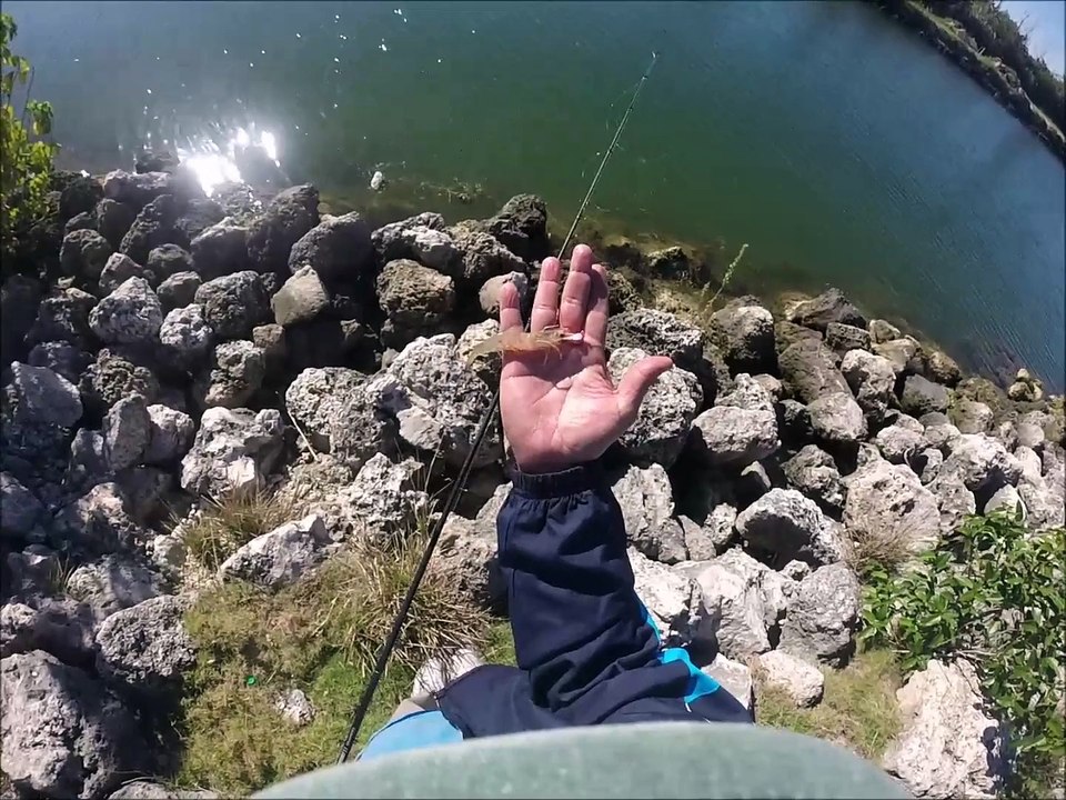 Fishing among Poachers video Dailymotion