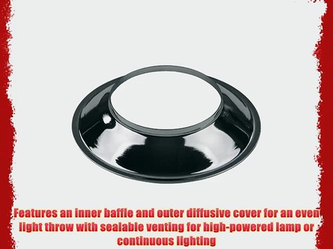 Fotodiox Pro Studio Solutions 32x48 EZ-Pro Softbox with Speedring for Alien Bees Strobe Flash