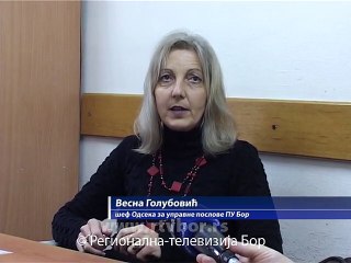 Registracija vozila sa stranim tablicama, 26. januar 2015. (RTV Bor)