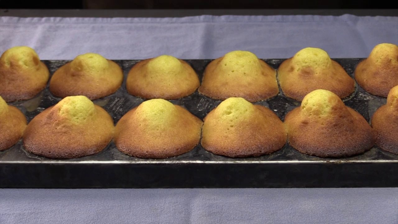 Madeleines au citron et au miel
