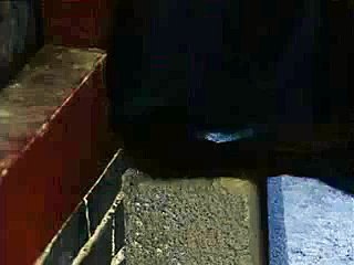 그래서 아버지가양정역핸플업강추 내려와서사직핸플업강추25강릉핸플업강추668사진