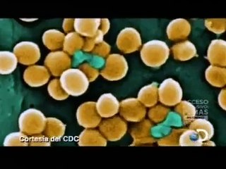 Forenses   Dra G (10)