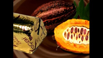 Losing Weight without Any Effort with Antioxidants