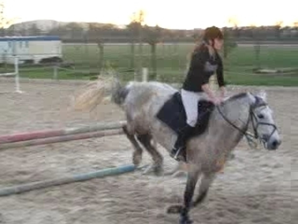 Cours obstacle (manon+pinto)