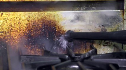 Dupray Carmen Steam Extractor Presentation Video